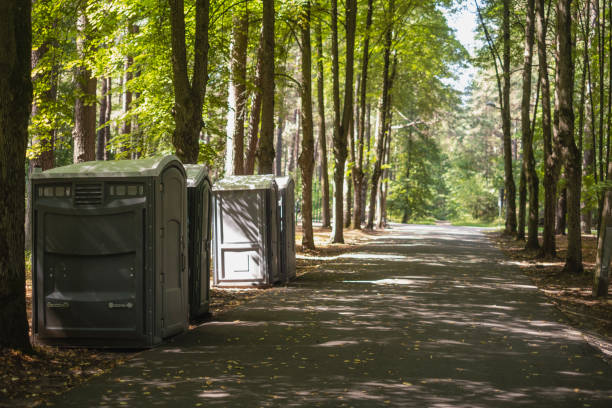 Best Affordable portable toilet rental  in Roselle Park, NJ